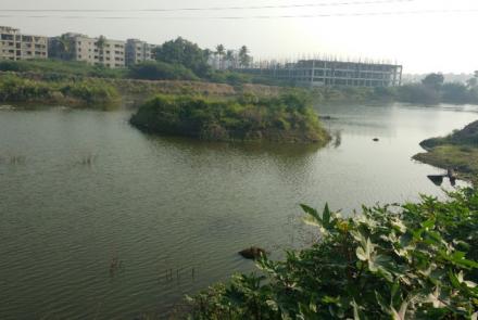 Lakes in Chennai to get a ‘smart’ makeover